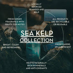 Load image into Gallery viewer, Sea Kelp Travel Essentials
