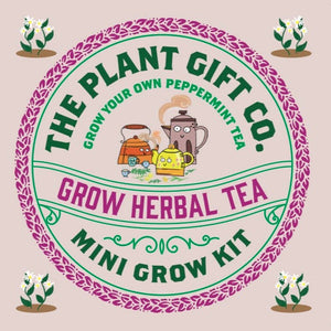 The Plant Gift Co Herbal Tea. Eco Mini Grow-Kit Peppermint