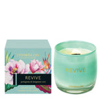Load image into Gallery viewer, Stoneglow Infusion Revive - Petitgrain &amp; Bergamot Zest Scented Candle Boxed Tumbler
