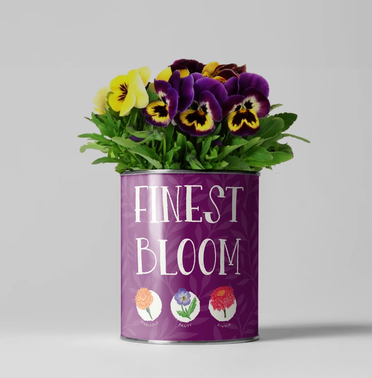 The Plant Gift Co Grow Your Own Flowers Kit - Finest Bloom