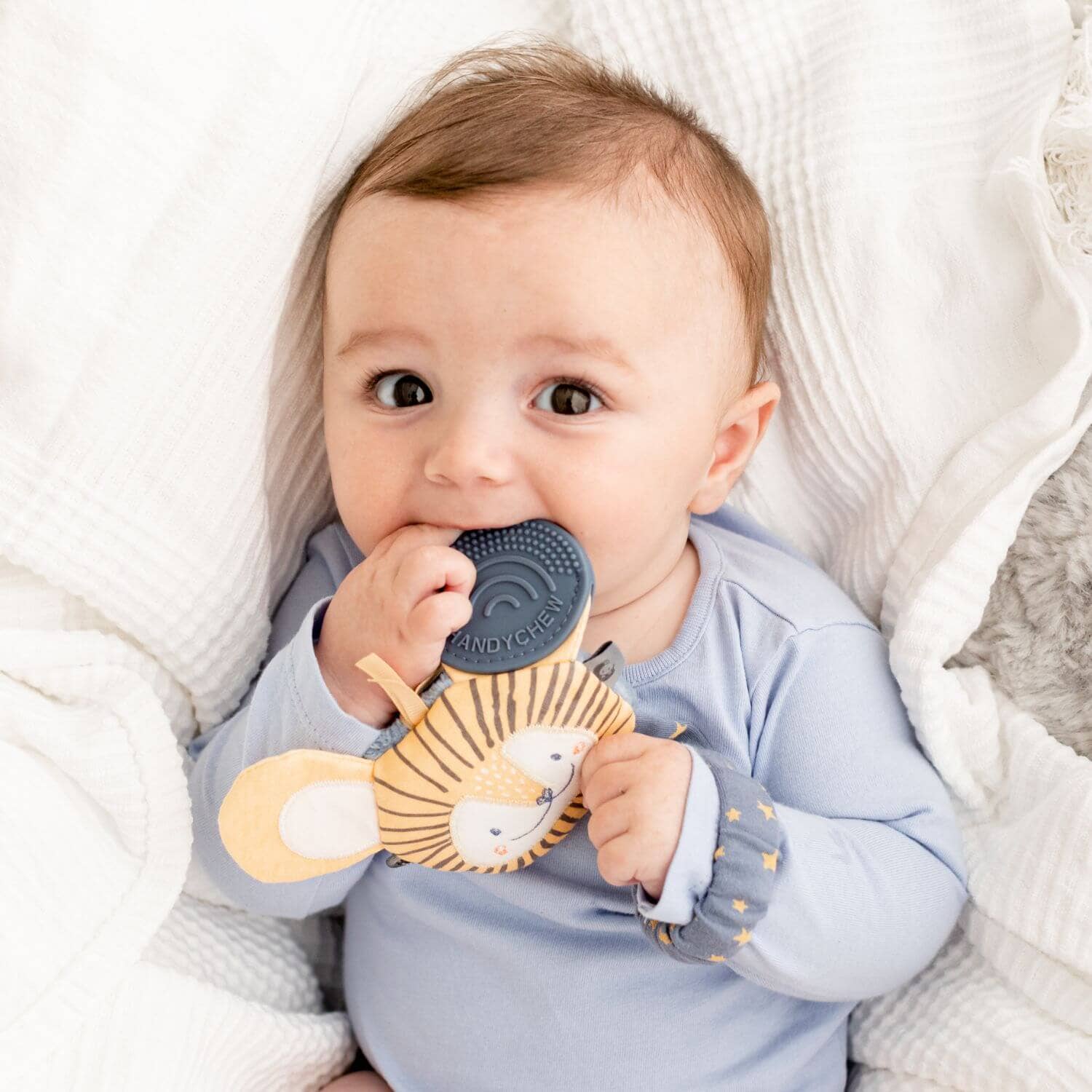 Handychew Sensory Baby Teething Toy - Bertie the Lion