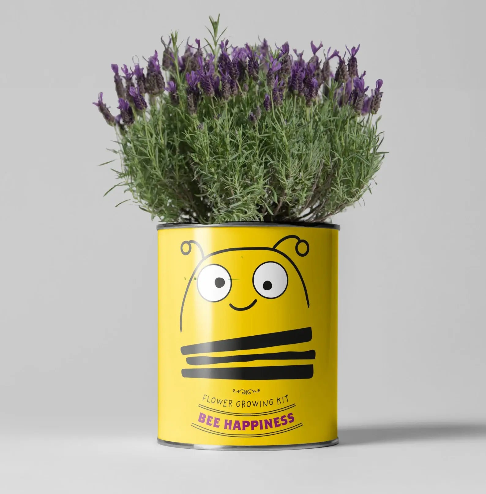 The Plant Gift Co Flower Growing Kit - Bee Happiness