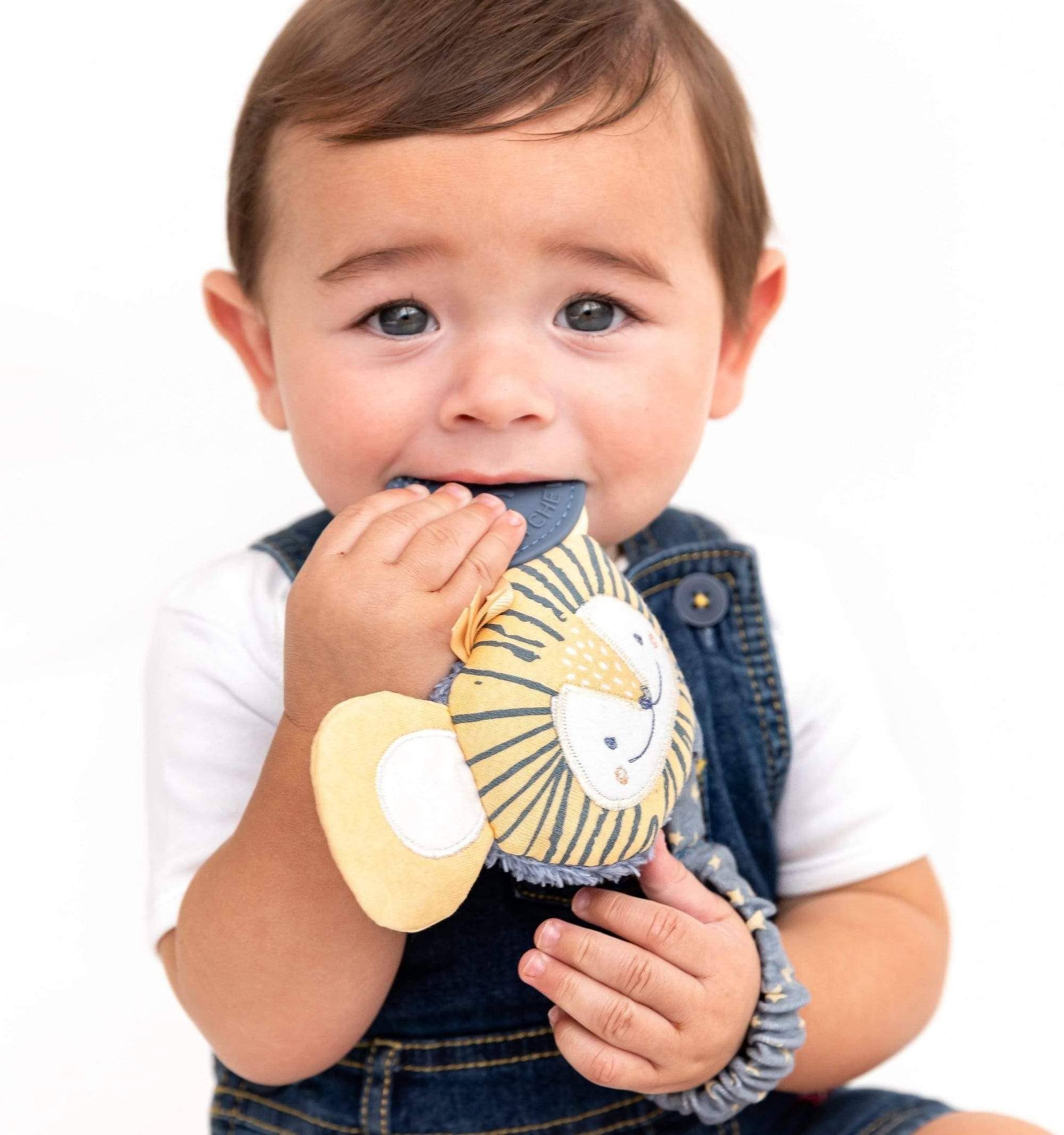 Handychew Sensory Baby Teething Toy - Bertie the Lion