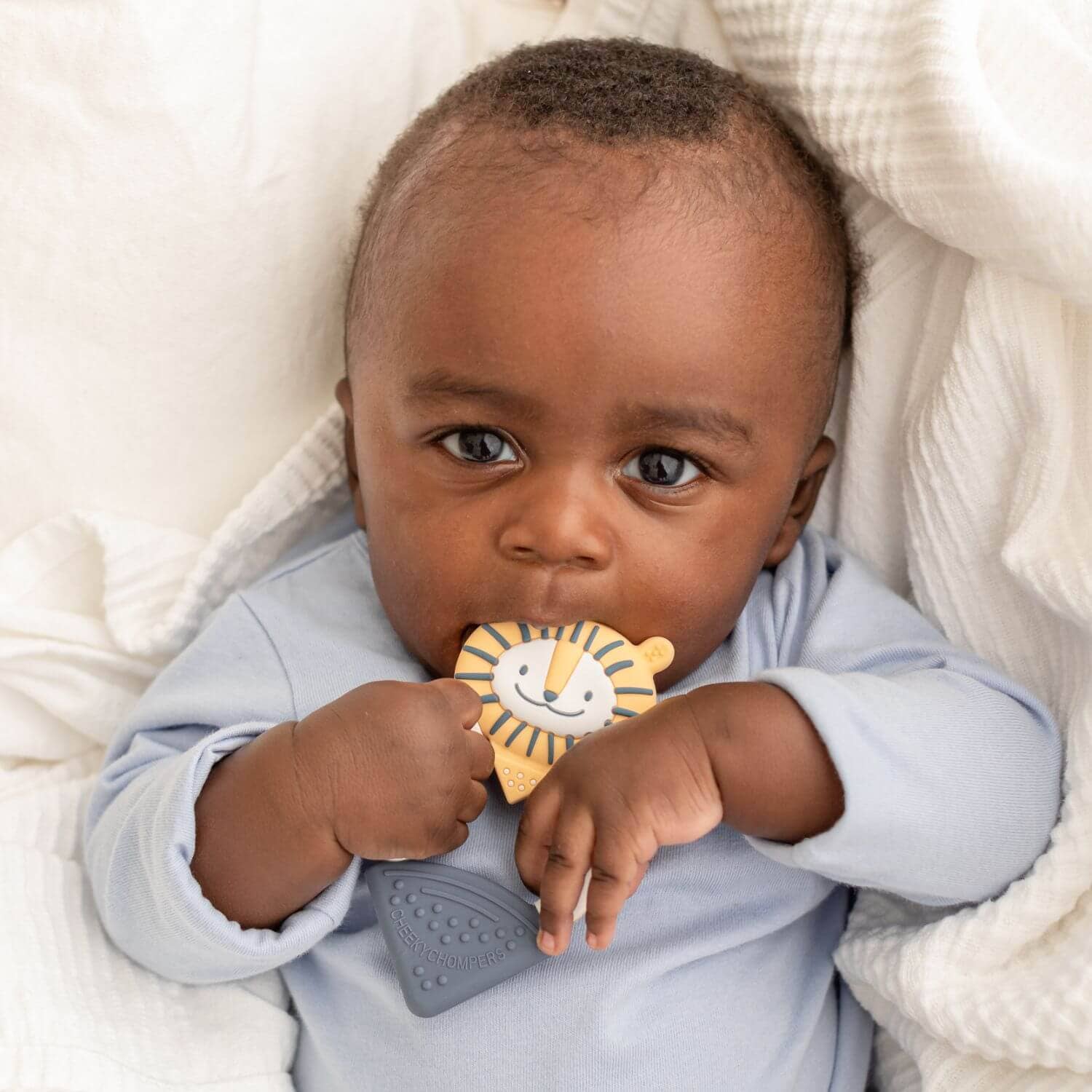 Textured Baby Animal Teether - Bertie the Lion