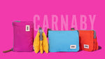Load image into Gallery viewer, Carnaby Wallet in Taslon
