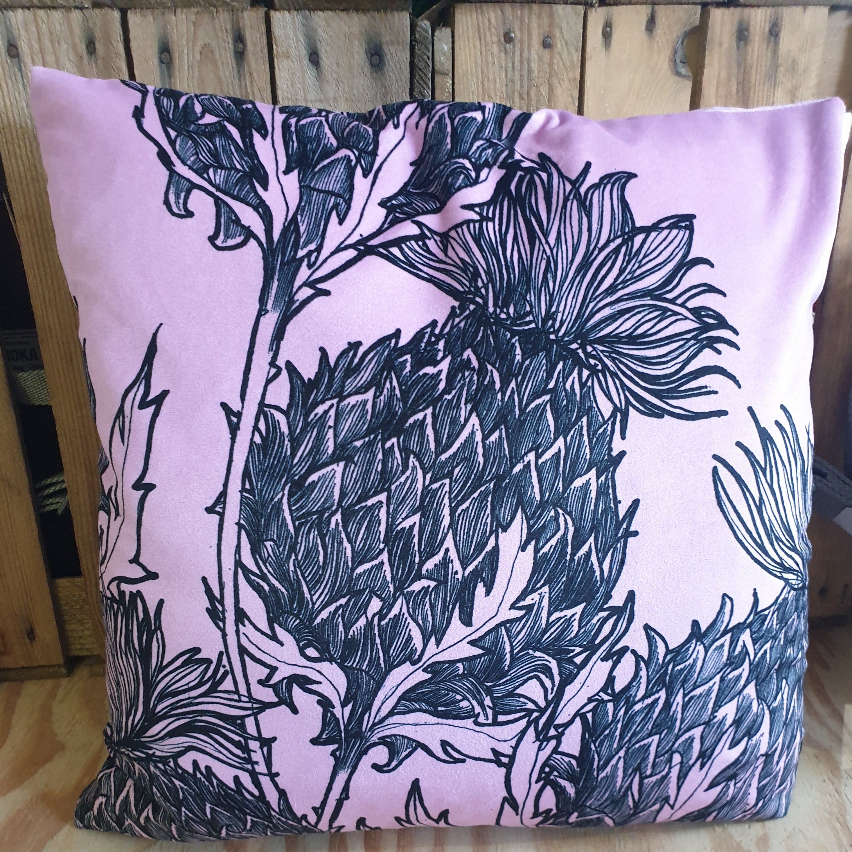 Black thistle Cushion in Pink By Gillian Kyle