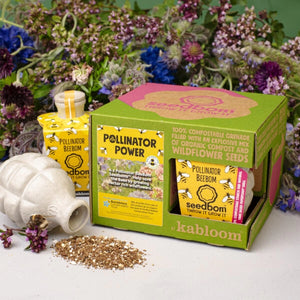 Pollinator Power 4 Pack Seedbom set